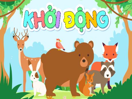 Bài giảng Tiếng Việt Lớp 4 (Kết nối tri thức) - Nói và nghe: Chung tay bảo vệ động vật - Năm học 2023-2024 - Nguyễn Thị Hằng