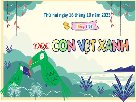 Bài giảng Tiếng Việt Lớp 4 Sách Kết nối tri thức (Đọc) - Con vẹt xanh - Năm học 2023-2024 - Hoàng Thị Thủy