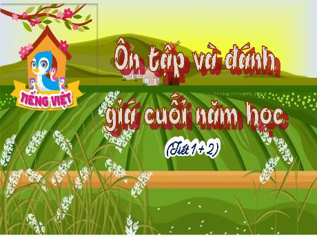 Bài giảng Tiếng Việt Lớp 4 Sách Kết nối tri thức - Ôn tập và đánh giá cuối năm học - Năm học 2023-2024 - Nguyễn Thị Hằng