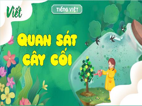 Bài giảng Tiếng Việt Lớp 4 Sách Kết nối tri thức (Viết) - Quan sát cây cối - Năm học 2023-2024 - Nguyễn Thị Hằng